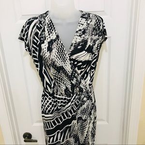Chico’s Snake Print Dress